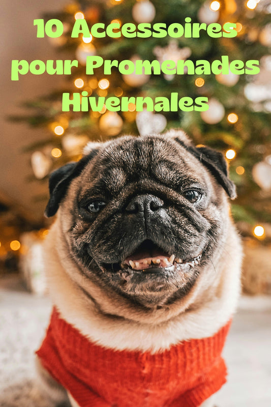 10- Accessoires-pour-promenades-hivernales