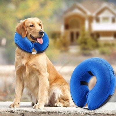 Collerette pour chien - Le confort avant tout de votre animal