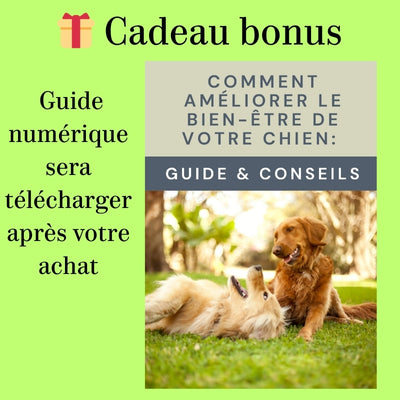 Longe pour Chien en Acier pour Chiens jusqu'à 110 kg
