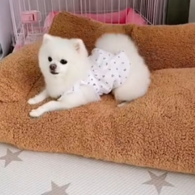 Canapé pour chien | SofaZen™