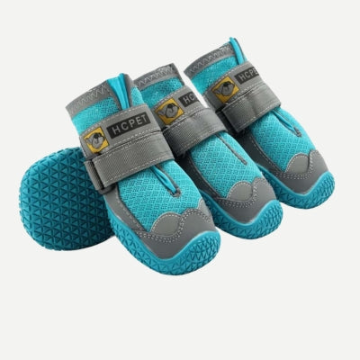Chaussure-pour-chien-bleu