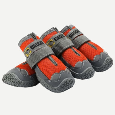 Chaussure-pour-chien-rouge