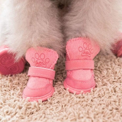 Chaussures-pour-chien-de-protection