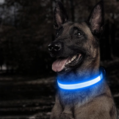 Collier lumineux pour chien | DelCanin™