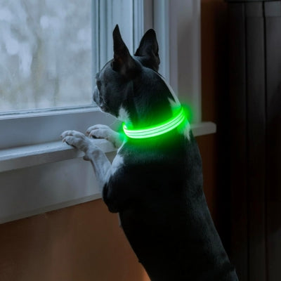 Collier-lumineux-pour-chien-vert