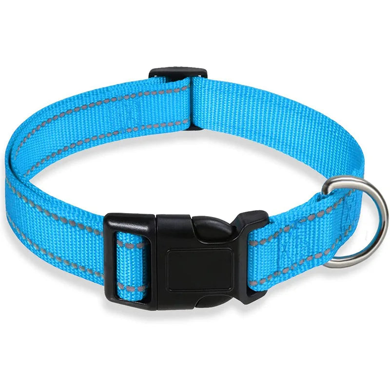 Collier-pour-chien-a-clip-azur