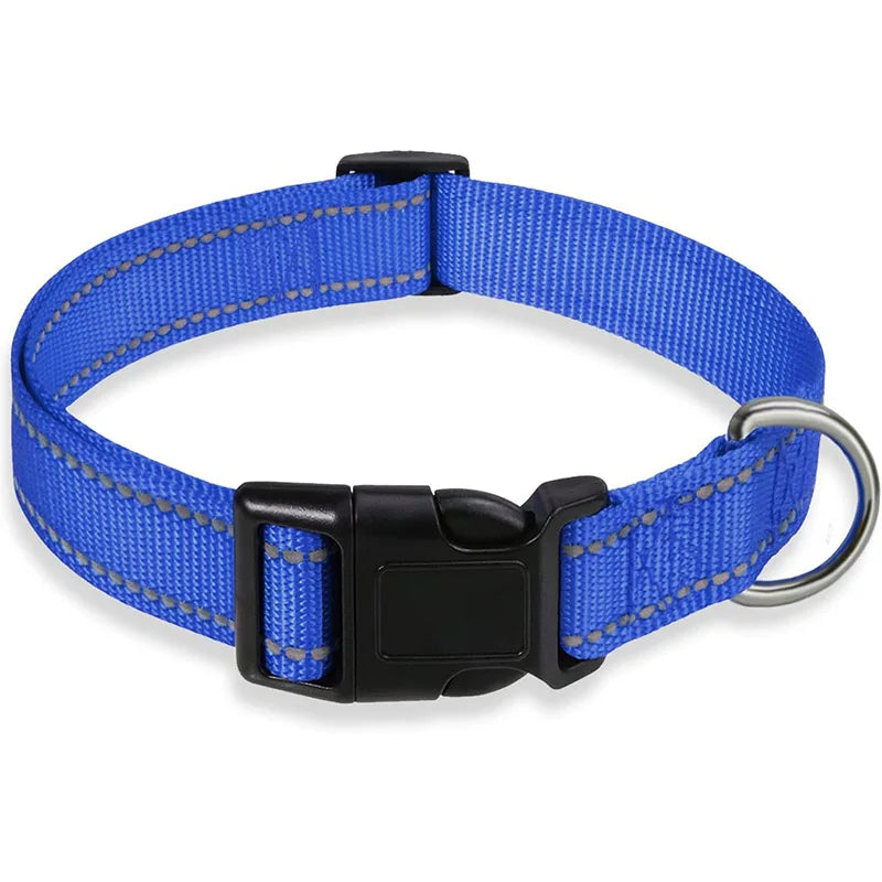 Collier-pour-chien-a-clip-bleu