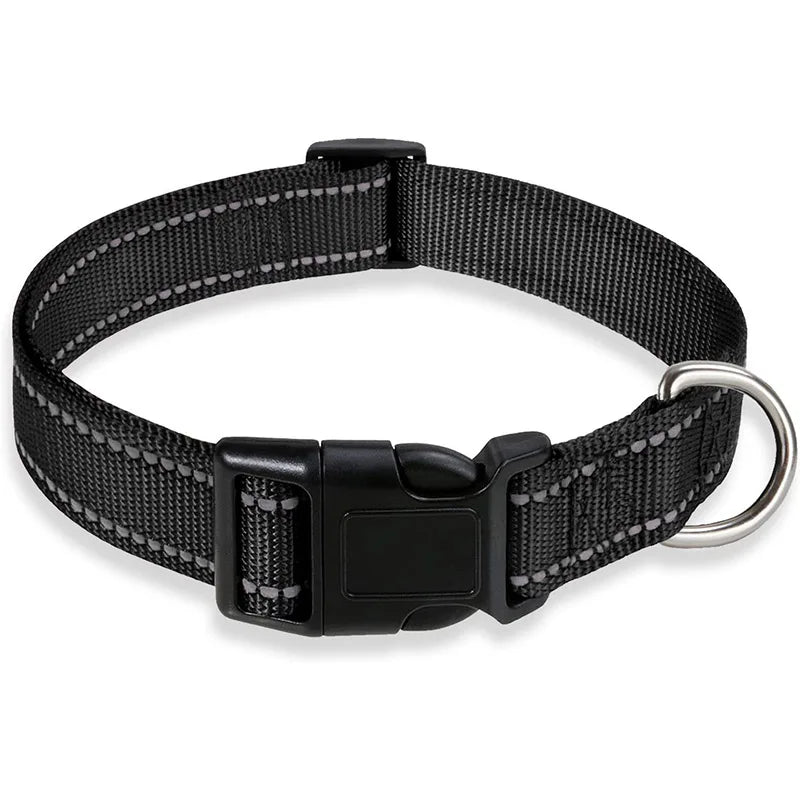 Collier-pour-chien-a-clip-noir