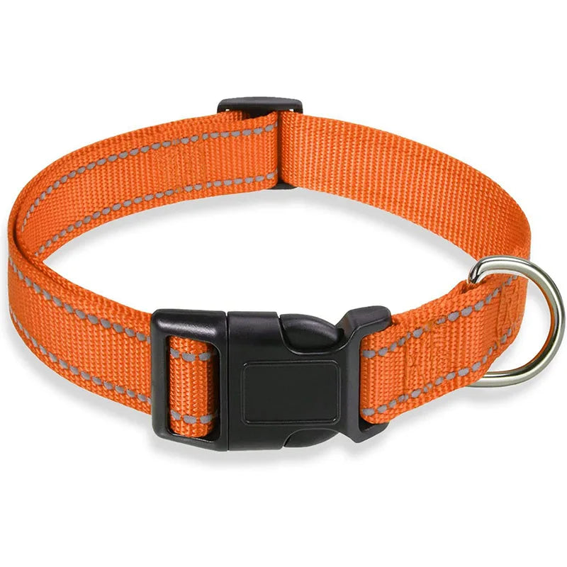 Collier-pour-chien-a-clip-orange