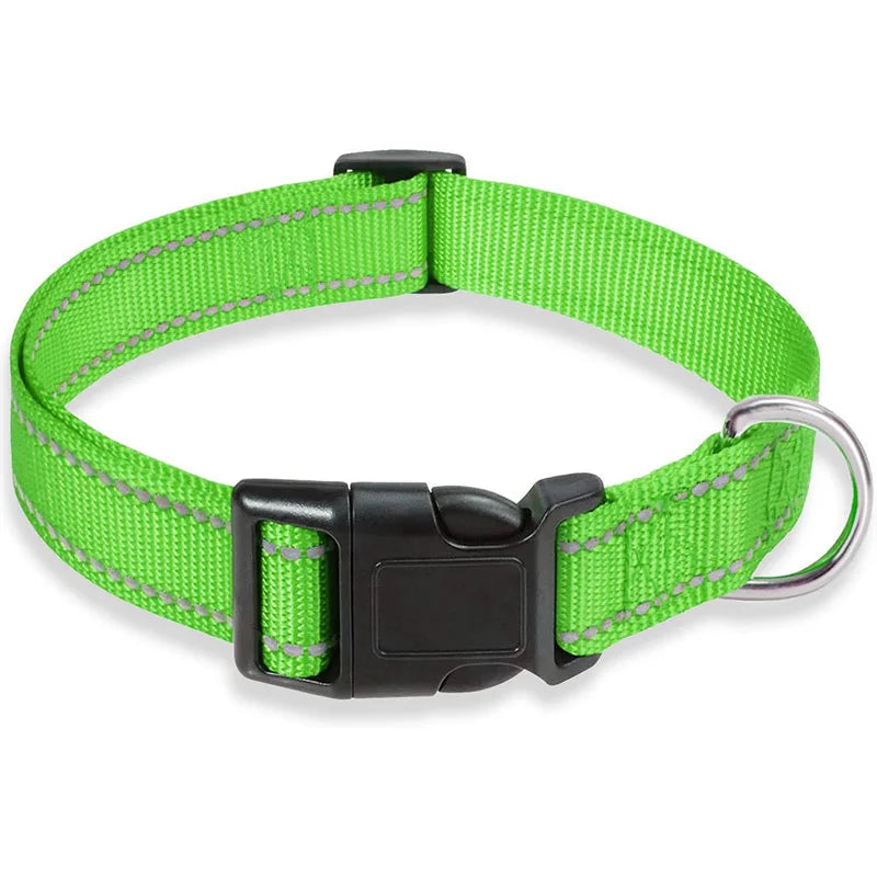 Collier-pour-chien-a-clip-vert