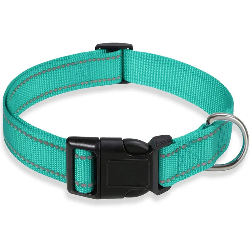 Collier-pour-chien-vert