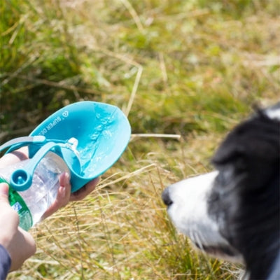 Gourde-pour-chien-Cani-couleur-bleu