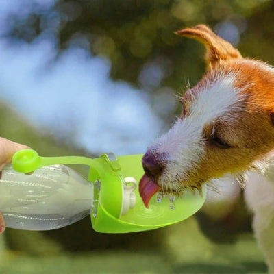 Gourde-pour-chien-pliable-verte