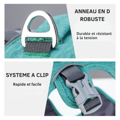 Harnais-chien-anneau-robuste