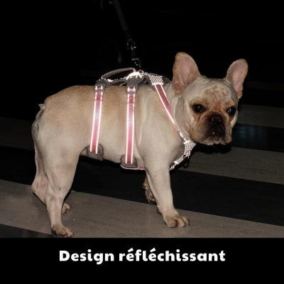 Harnais-chien-design-reflechissant