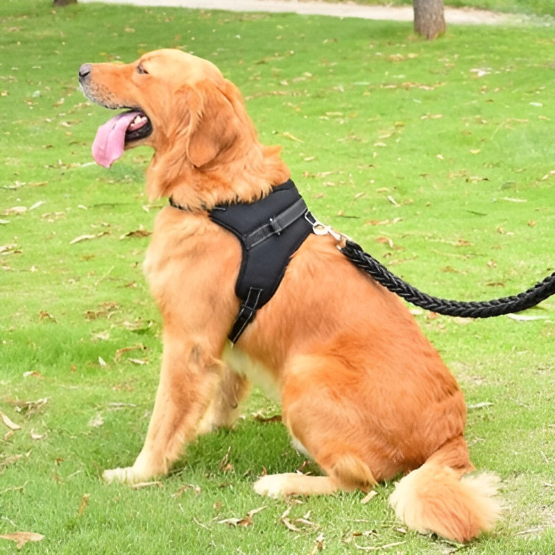 Harnais-pour-chien-Caniconfort-noir