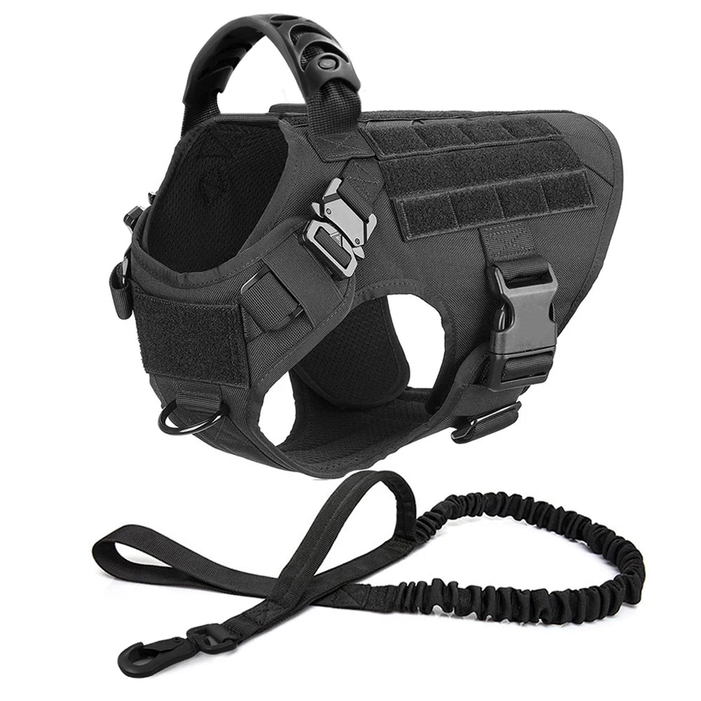 Harnais-pour-chien-avec-laisse-noir