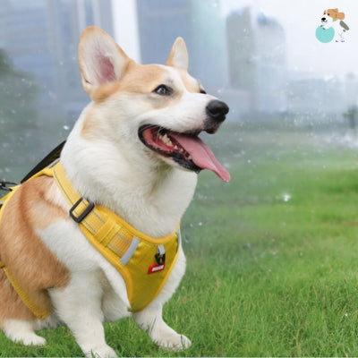 Harnais-pour-chien-durable-jaune