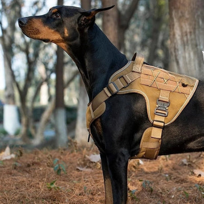 🐾 Harnais pour chien Nomad – Confort et sécurité pour chaque aventure