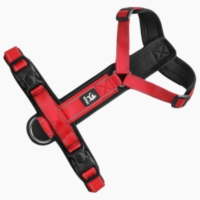 Harnais-pour-chien-rouge-ajustable