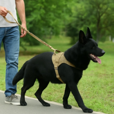 Harnais-pour-chien-solide-pour-été