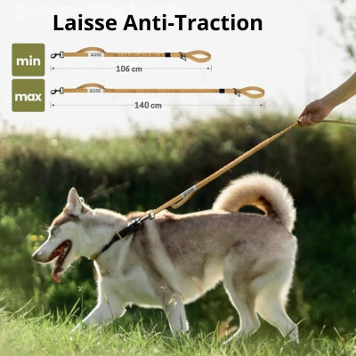 Laisse pour Chien - Anti-traction FlexiTrek