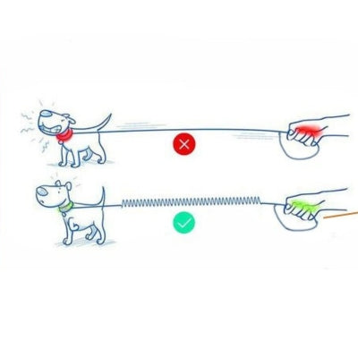 Laisse pour Chien - Anti-traction FlexiTrek