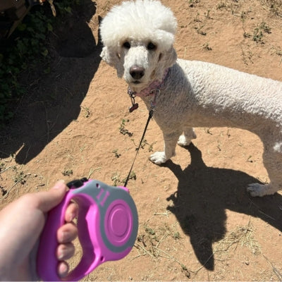 Laisse pour chien || Rétract™