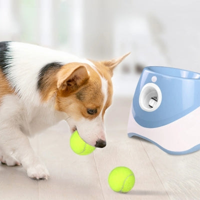 Lanceur-de-balle-pour-chien-amusement-defoulement