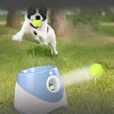 Lanceur-de-balle-pour-chien-educatif