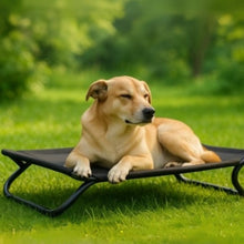 Charger l'image dans la galerie, Lit de Camp pour Chien – Confort et Hygiène en Voyage