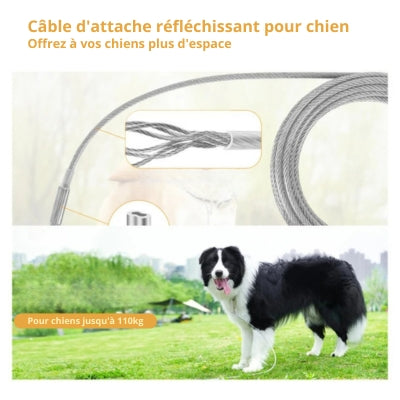 Longe-pour-chien-réfléchissant