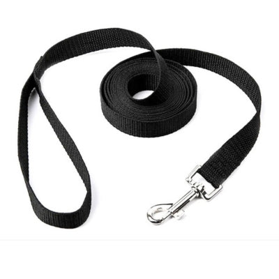 Longue-laisse-pour-chien