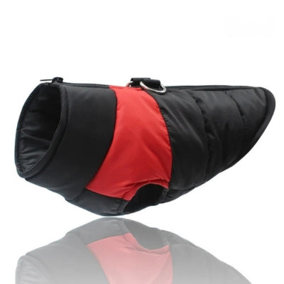 Manteau-pour-chien-rouge-impermeable