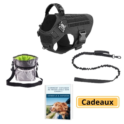 Pack Harnais pour Chien EliteTrek – Confort, Sécurité et Contrôle Anti-Traction