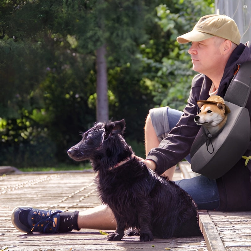 Sac-a-dos-pour-chien-pratique