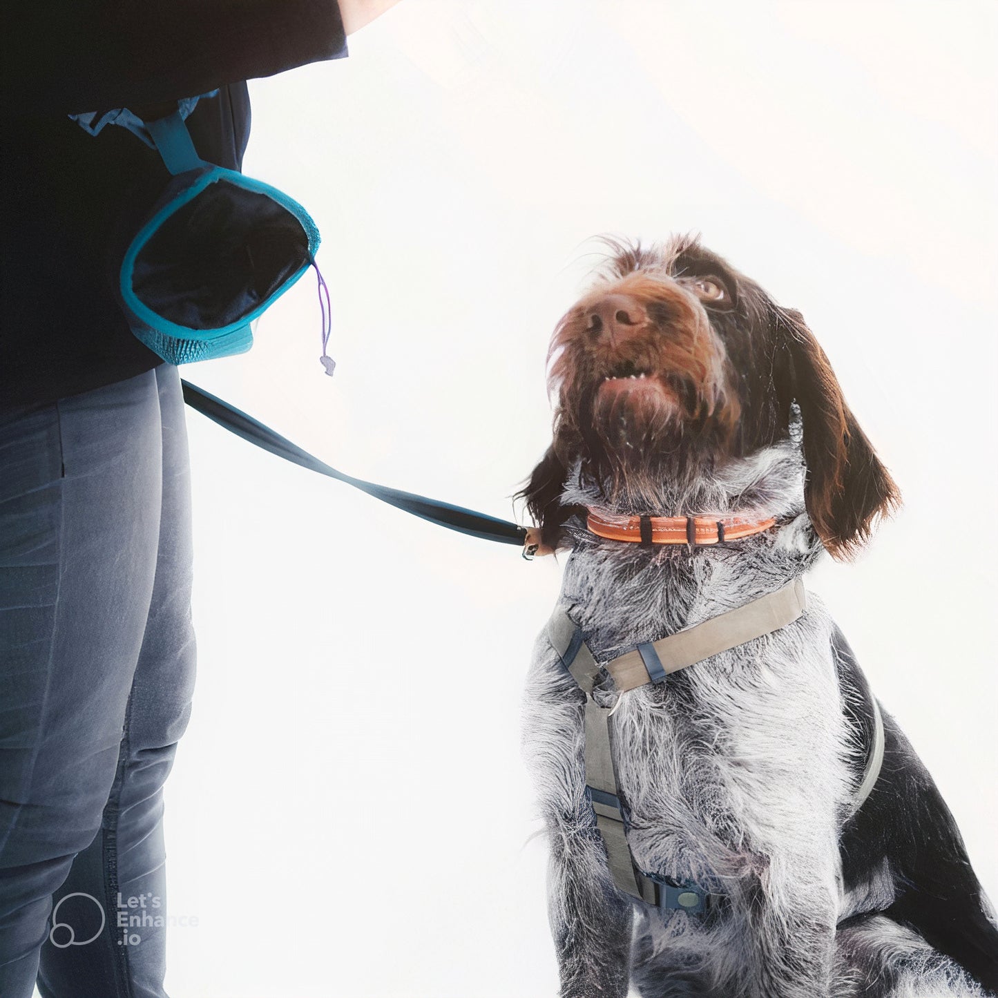 Pochette-friandise-pour-chien