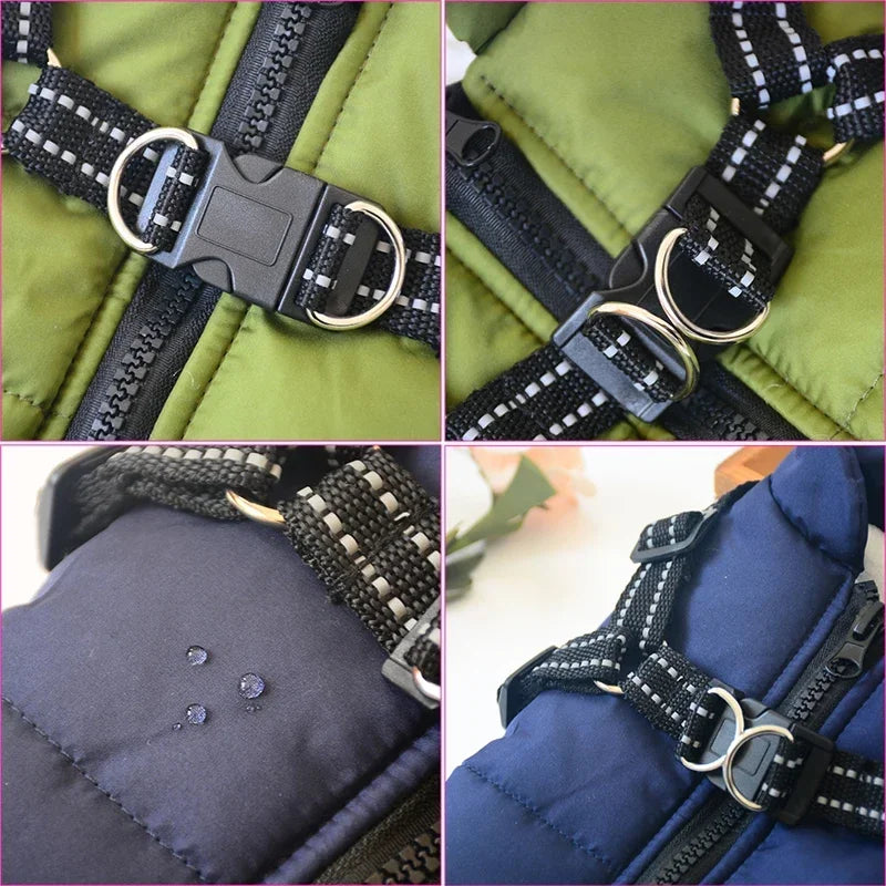 Harnais pour Chien - CaniCouvert
