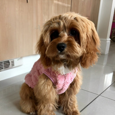 Vetement-pour-chien-polaire-rose-pour-hiver