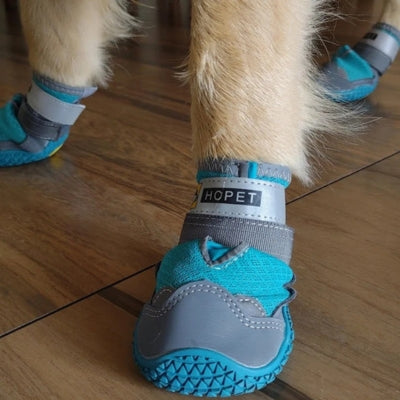 chaussures-pour-chien-professionnel