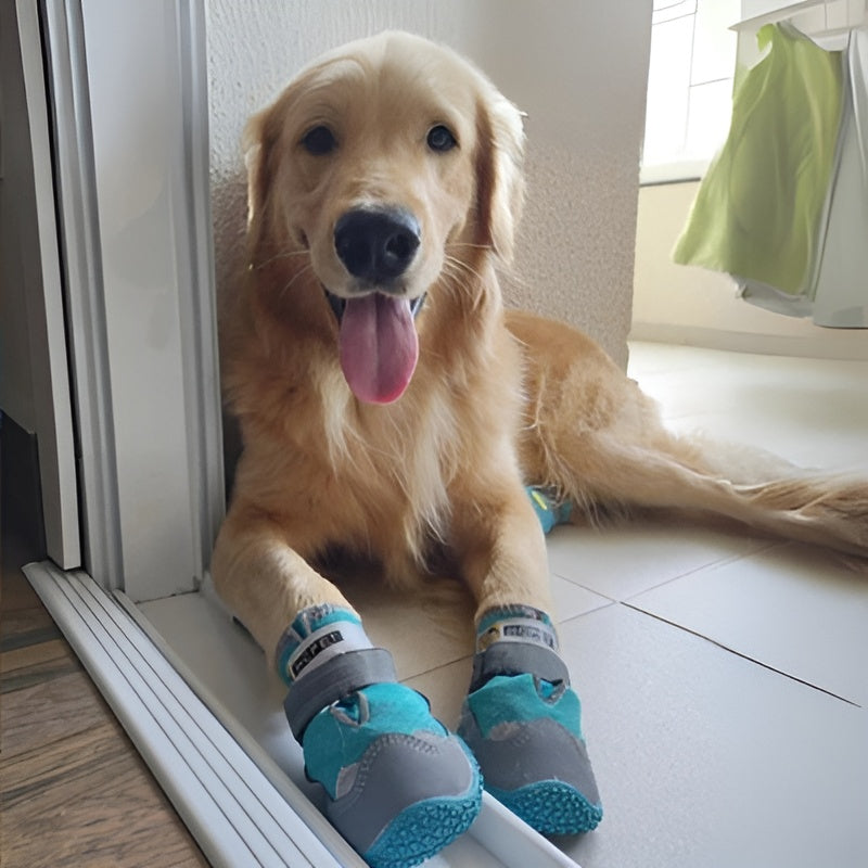 chaussures-pour-chien-protection-supérieure
