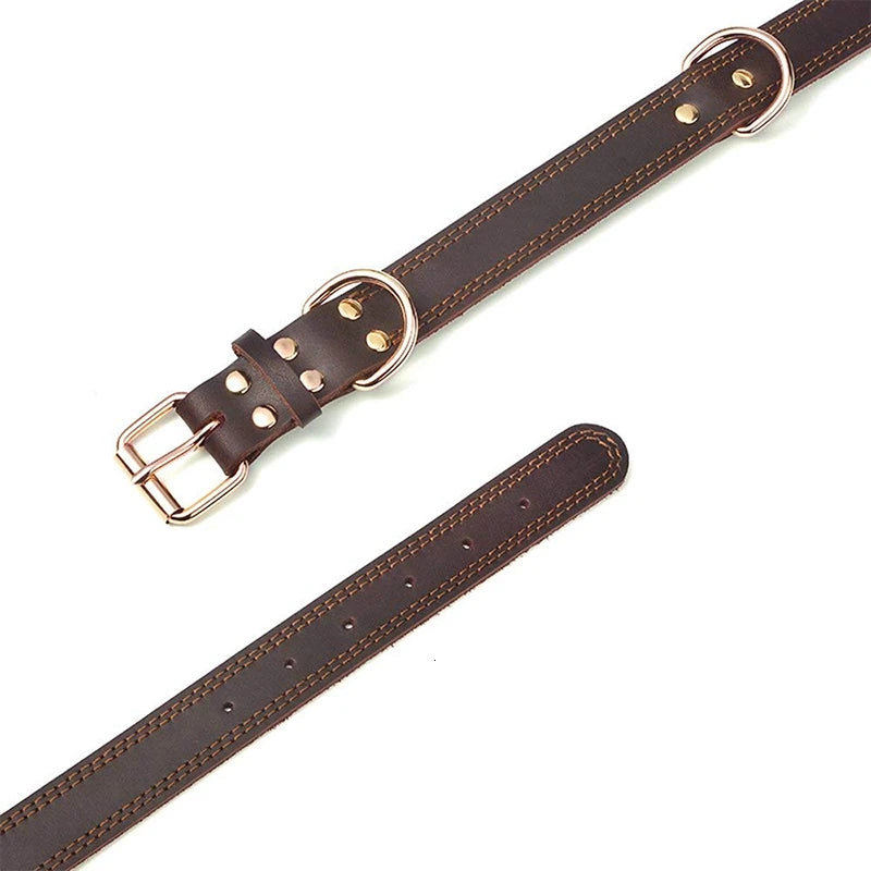 collier-chien-en-cuir-classique