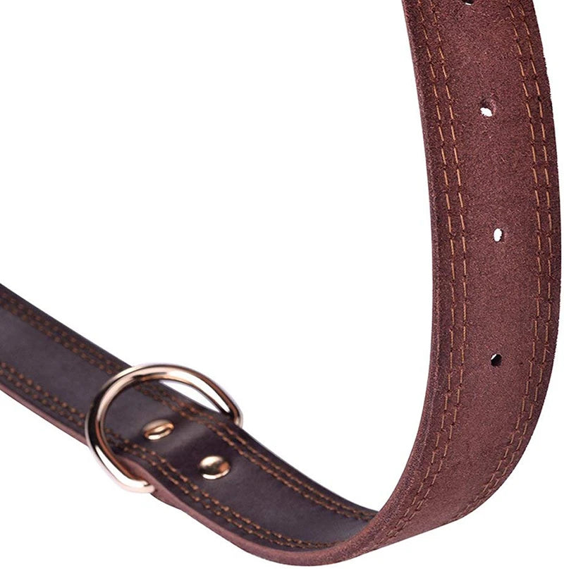 collier-chien-en-cuir-durable