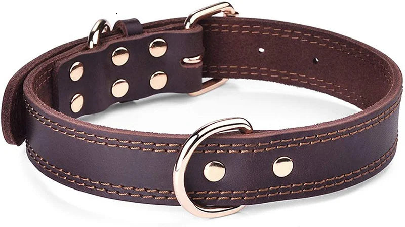 collier-chien-en-cuir-resistant