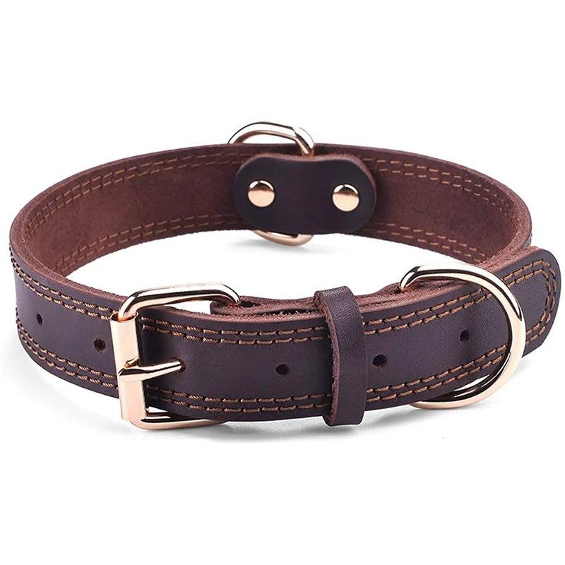 collier-chien-en-cuir-robuste