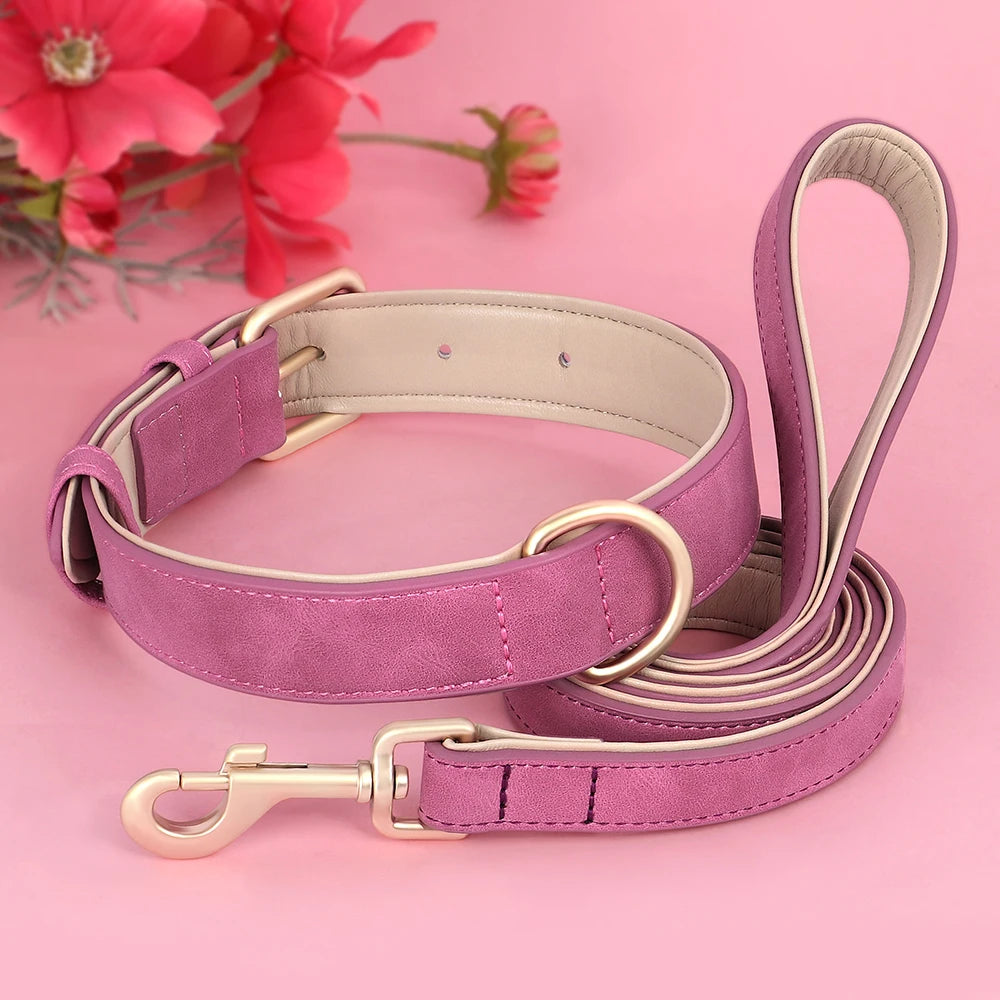 collier-chien-rembourré-confort