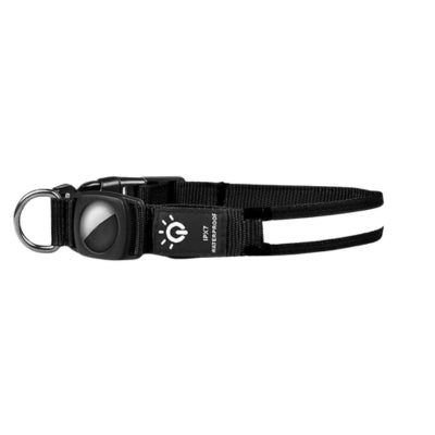 collier-lumineux-pour-chien-noir