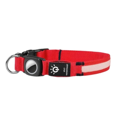 collier-lumineux-pour-chien-rouge