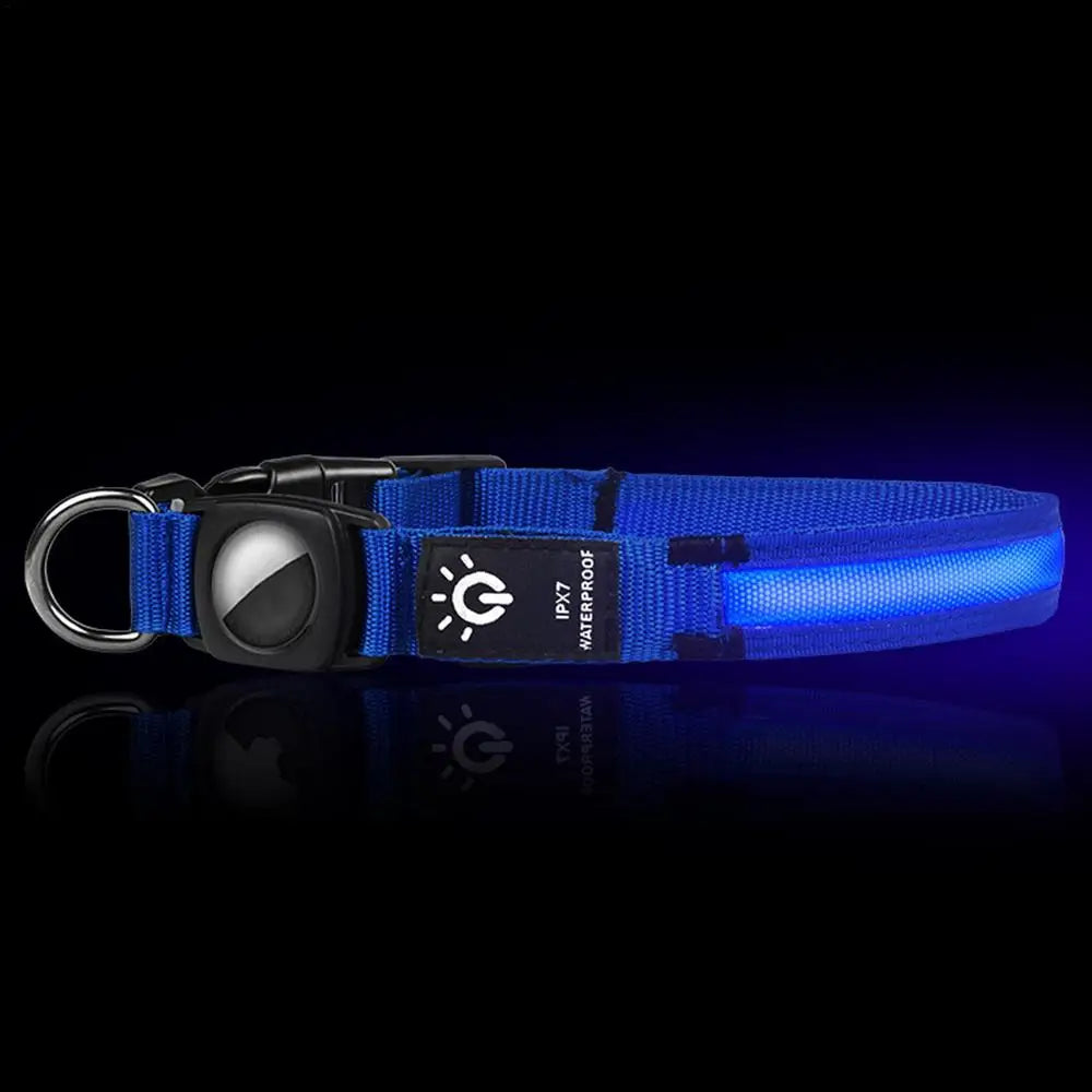 colliers-lumineux-pour-chiens-charge-USB