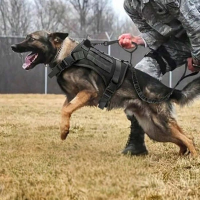 Harnais anti-traction sécuritaire pour chien, conçu pour réduire les tiraillements lors des promenades, avec sangles ajustables, rembourrage confortable et attache dorsale renforcée.